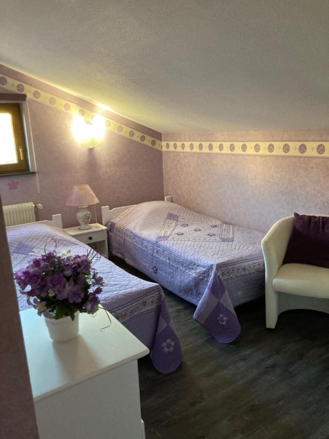 Gite De La Streng Ribeauvillé Dış mekan fotoğraf