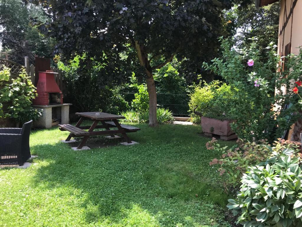 Gite De La Streng Ribeauvillé Dış mekan fotoğraf