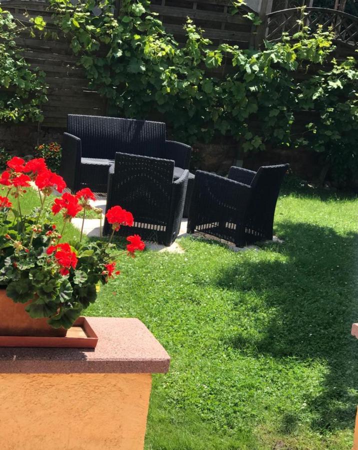 Gite De La Streng Ribeauvillé Dış mekan fotoğraf
